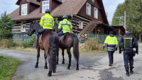 policie koně chata kontrola